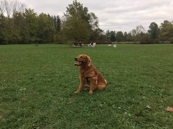Bernards Twp Dog Run Park 5