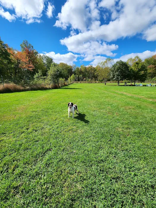 Bernards Twp Dog Run Park 1