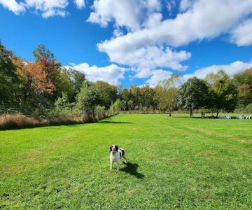 Bernards Twp Dog Run Park