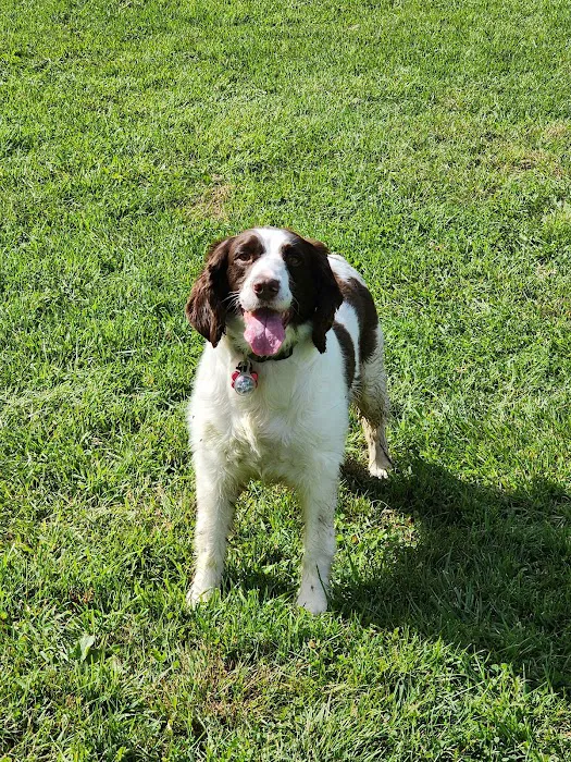 Bernards Twp Dog Run Park 8
