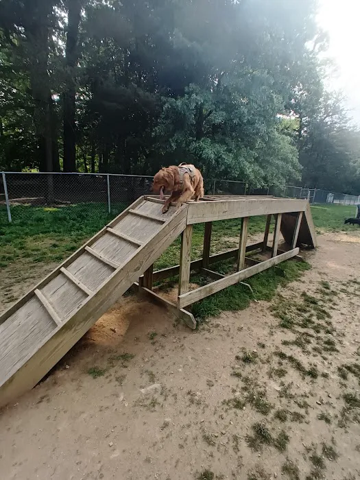 Central Park County Dog Park 10