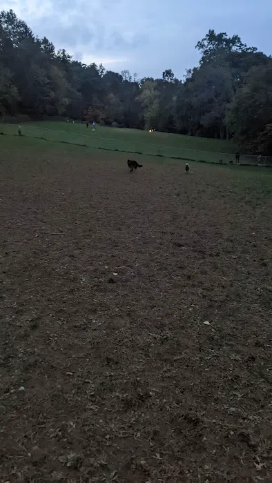 Central Park County Dog Park 6