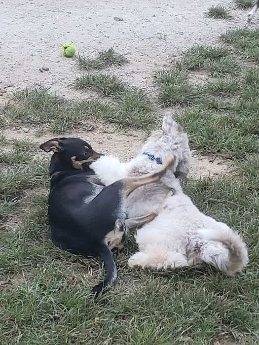 Central Park County Dog Park 4