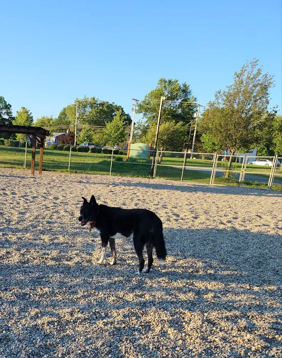 Montville Dog Park 2