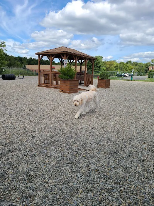 Montville Dog Park 3