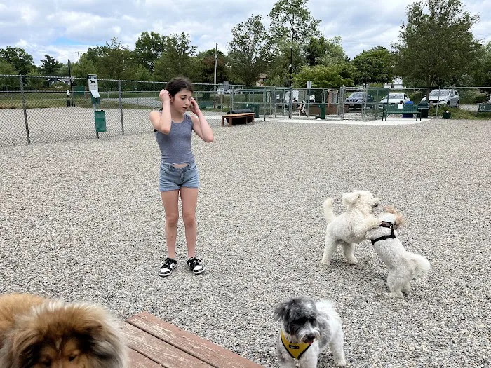 Montville Dog Park 5