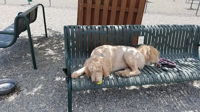 Montville Dog Park 10