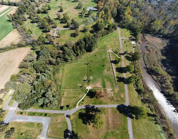 Dog Park 6