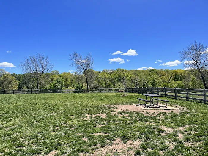 Dog Park 1