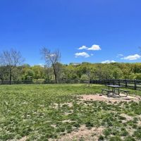 Dog Park ico