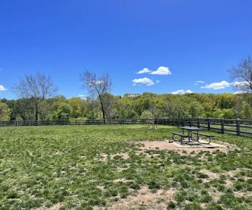 Dog Park