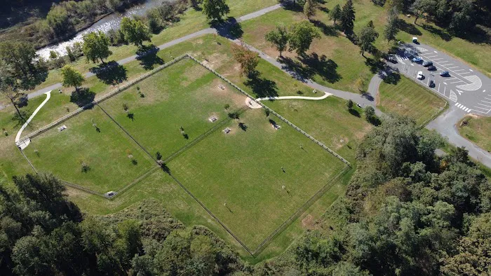 Dog Park 5