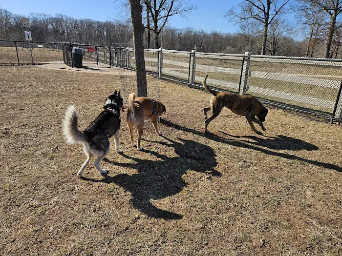 Dog Park 2