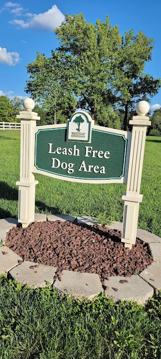 Dog Park 4