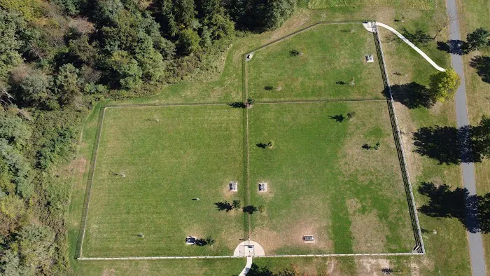 Dog Park 9