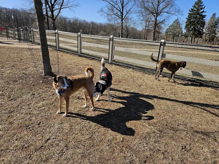 Dog Park 10