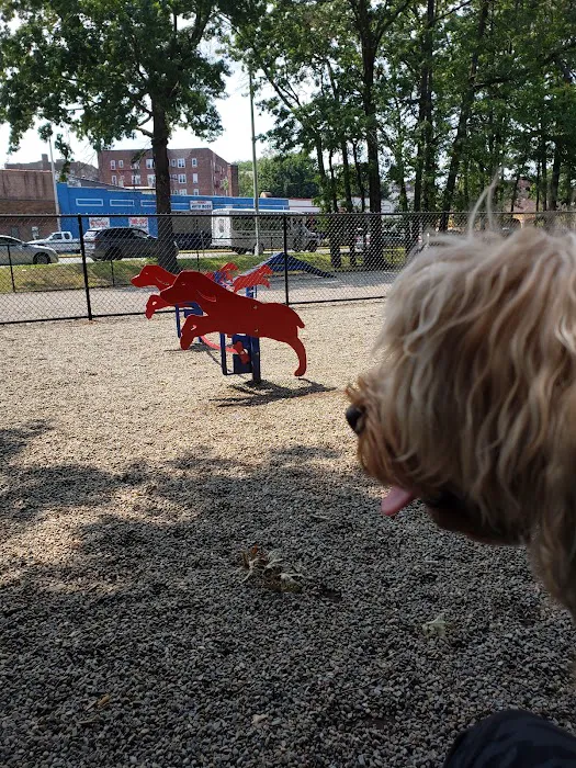 Armory Memorial Dog Park 8