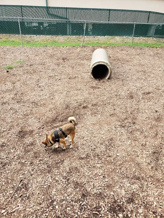 Dog Park 1