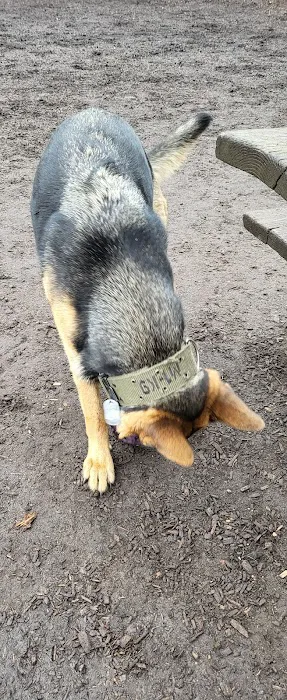 Dog Park 9