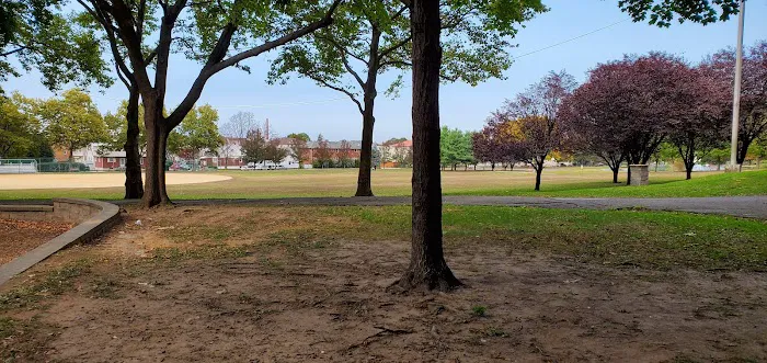 Dog Park 4