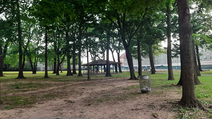 Dog Park 8