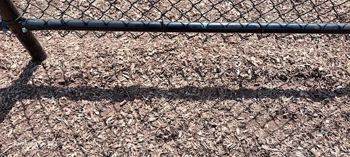 Carlstadt Dog Park 7