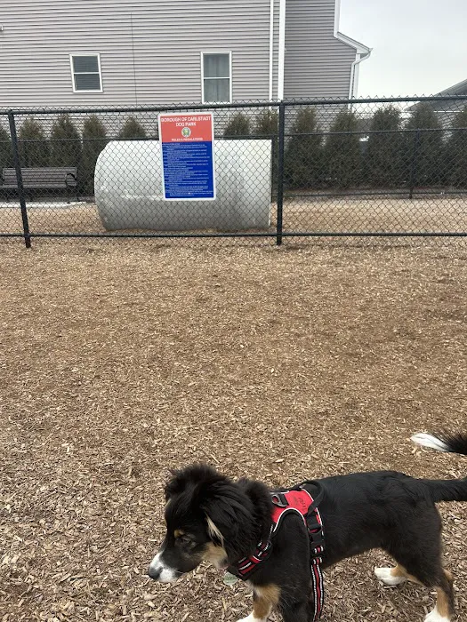 Carlstadt Dog Park 3