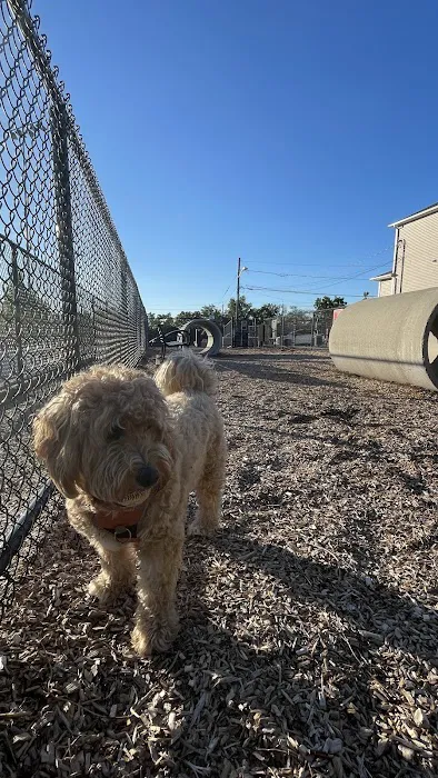 Carlstadt Dog Park 1