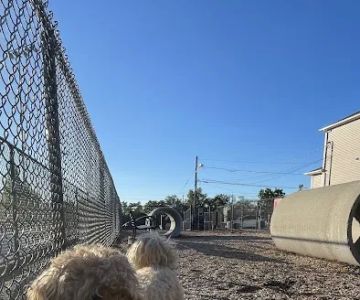 Carlstadt Dog Park