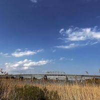 Snipes Park Dog Run ico