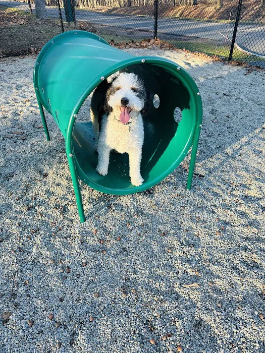 Dog Park at Rifle Camp Park 1