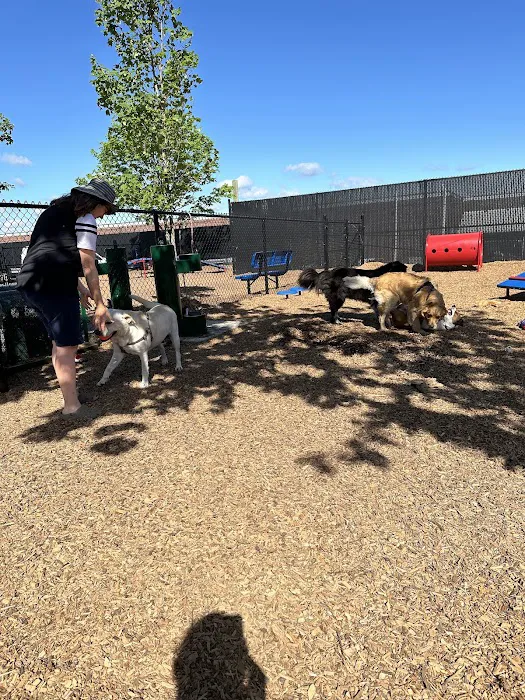 Wood-Ridge Dog Park 9