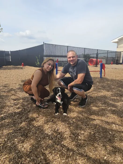 Wood-Ridge Dog Park 7