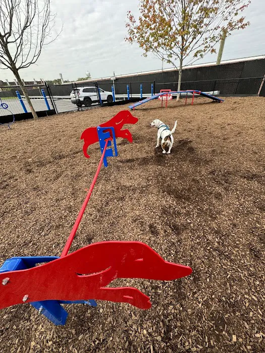 Wood-Ridge Dog Park 10