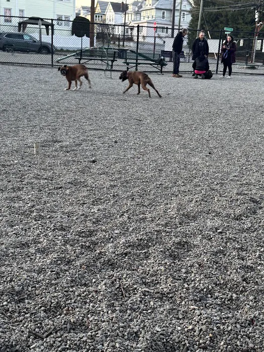 Garfield Dog Park 7