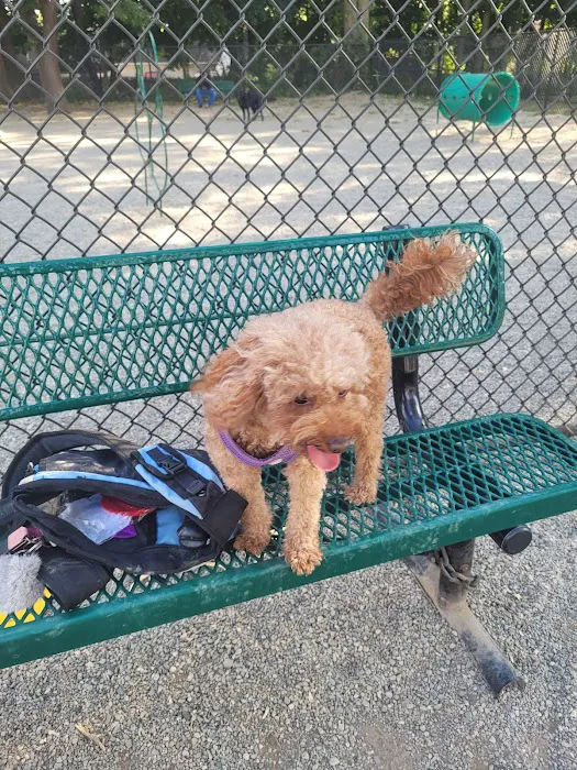 Garfield Dog Park 6