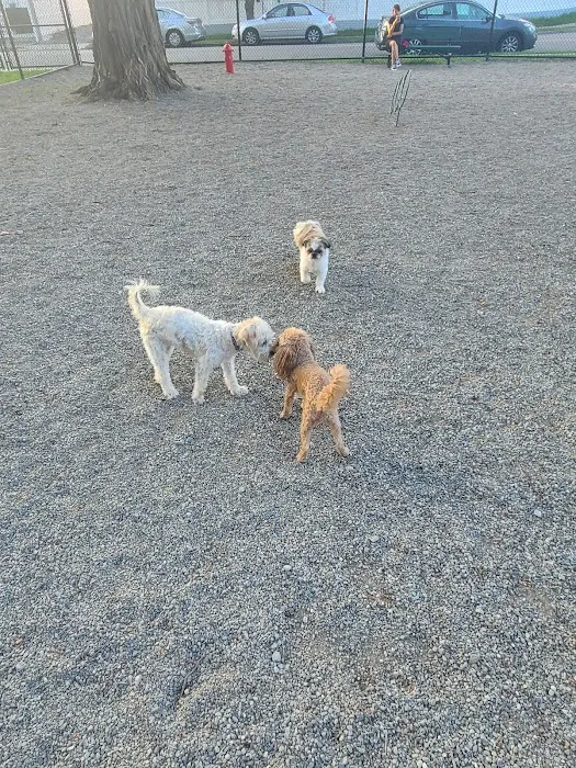 Garfield Dog Park 8