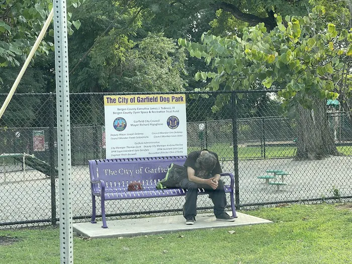 Garfield Dog Park 3
