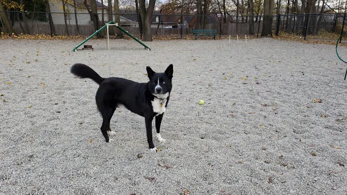 Garfield Dog Park 2