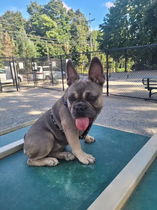 Garfield Dog Park 9