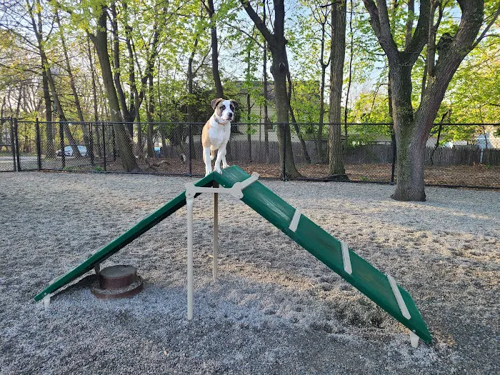 Garfield Dog Park 5