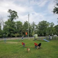 Elmwood Park Dog Park ico