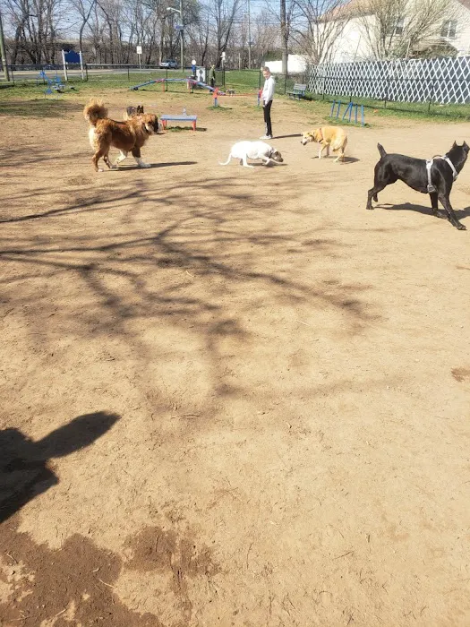 Elmwood Park Dog Park 7