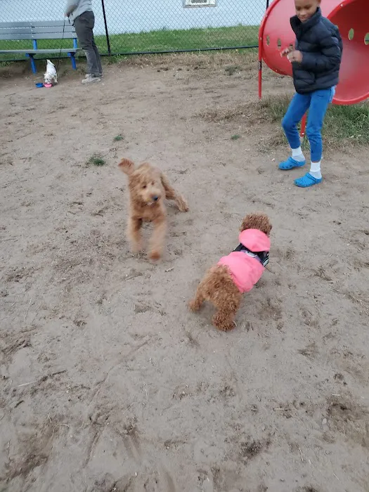 Elmwood Park Dog Park 9
