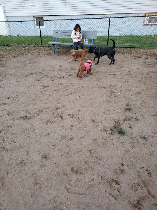 Elmwood Park Dog Park 8
