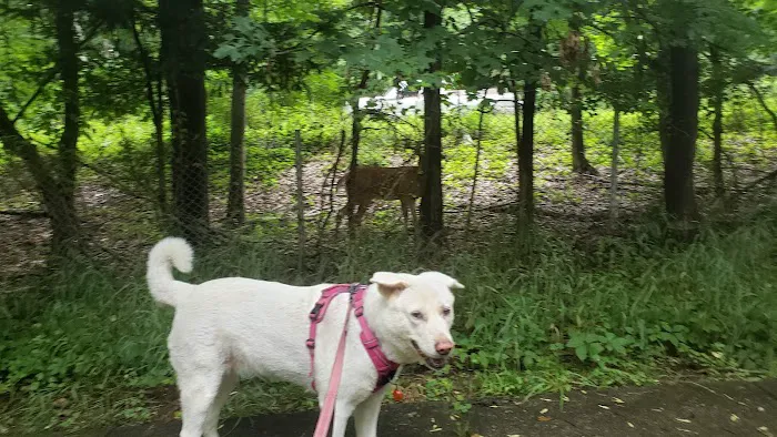 Dudley C Allen Playground & Dog Park 9