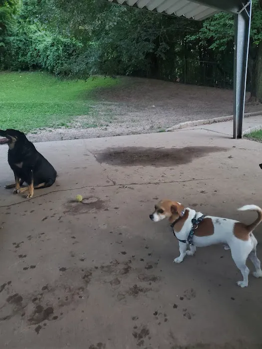 Dudley C Allen Playground & Dog Park 8