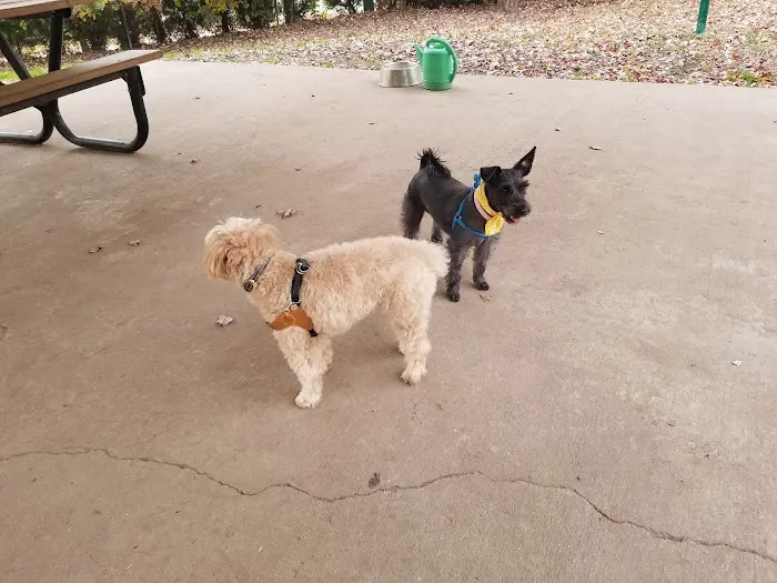 Dudley C Allen Playground & Dog Park 10