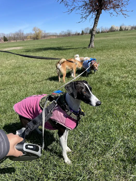Overpeck Dog Park 6