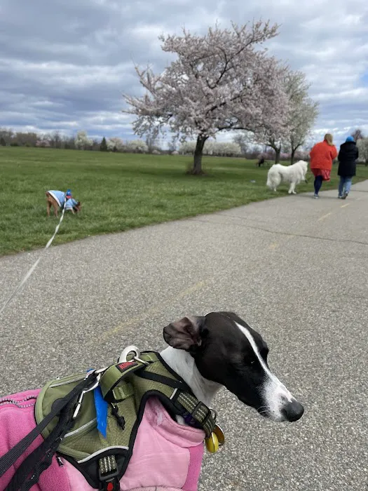 Overpeck Dog Park 7